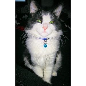 Meet your Posher, Alexandra